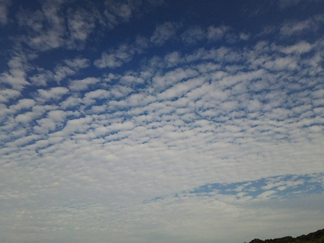 9月ですね〜(*´∀`)