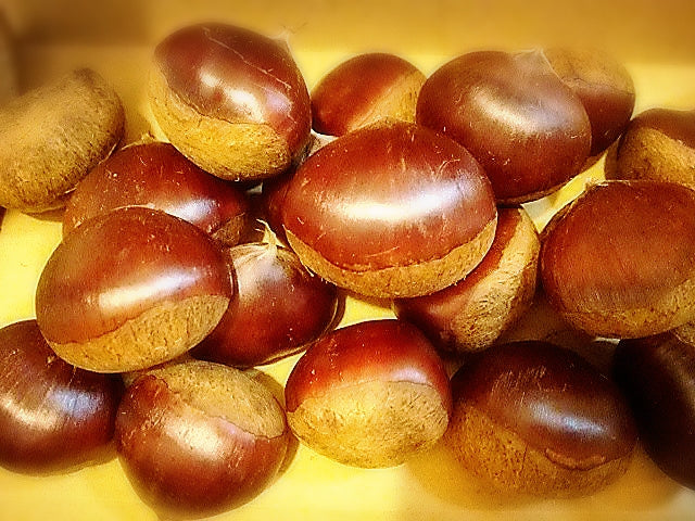 秋の味覚を頂きました♪