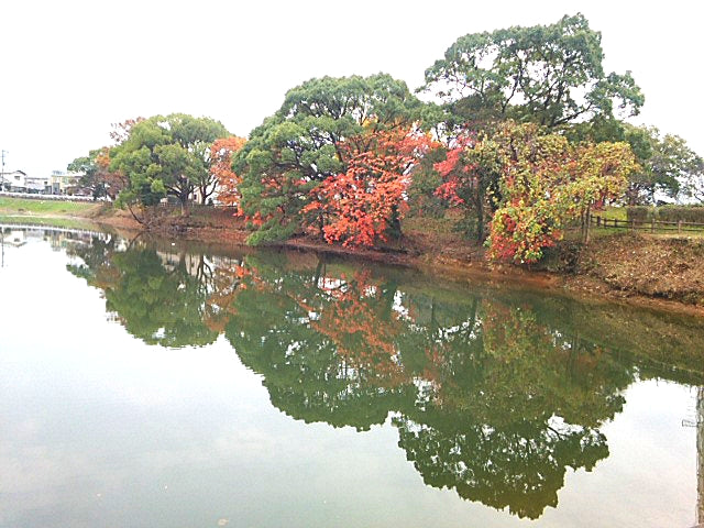 移りかわる景色♪