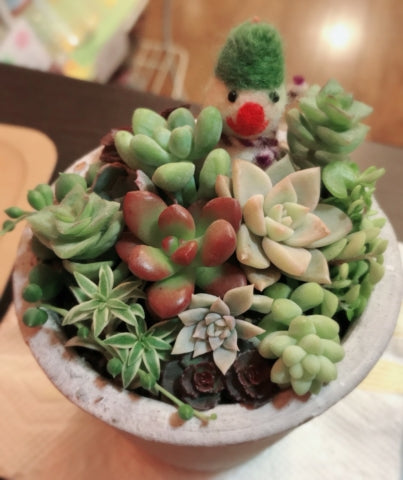 Christmasプレゼントありがとうございます♪