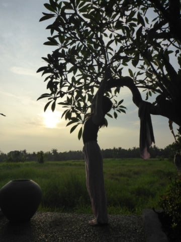 福岡市早良区でヨガしませんか? ※ご予約不要です!