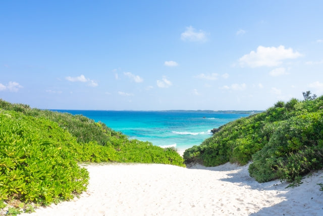 海を見ると、心がふっと軽くなる理由