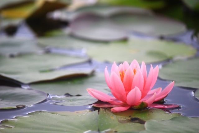 呼吸を深くすること。それは最高のセルフマッサージです。