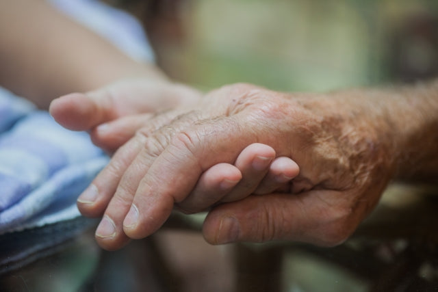 シニアヨガ指導者養成講座