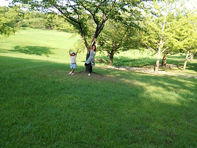 エネルギーチャージ