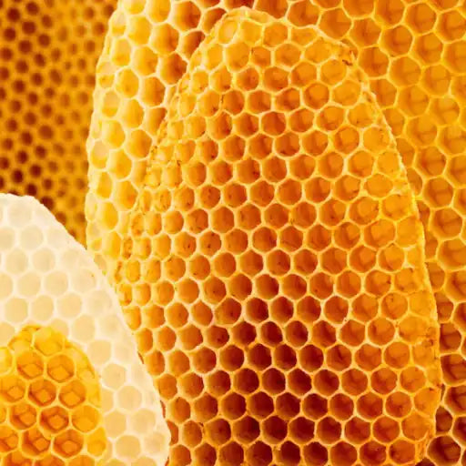 beeswax