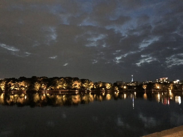 夜の大濠公園