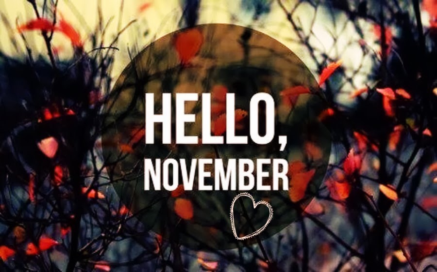 11月のスケジュールをUPしました☆