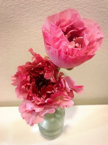 ラナンキュラスがめぐりヨガに。