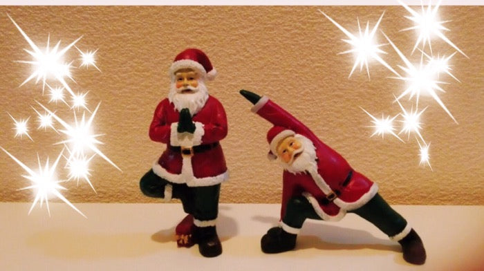 クリスマスプレゼントをいただきました!