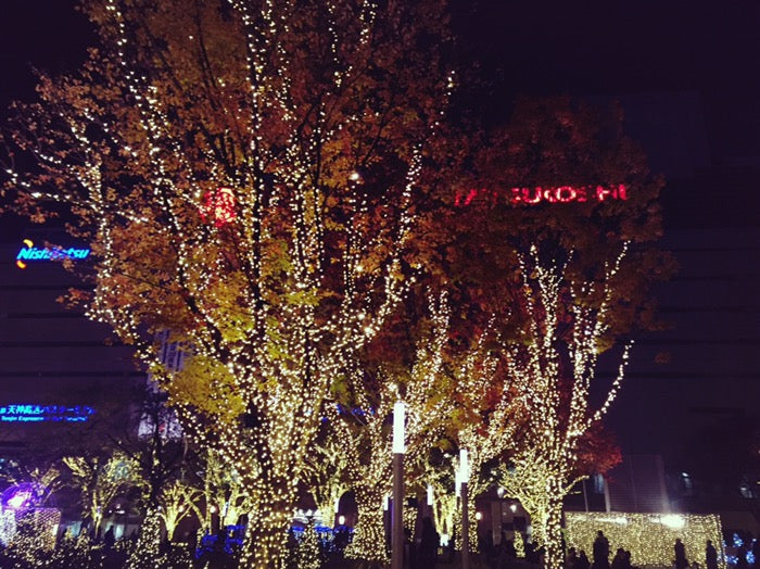 イルミネーション@警固公園