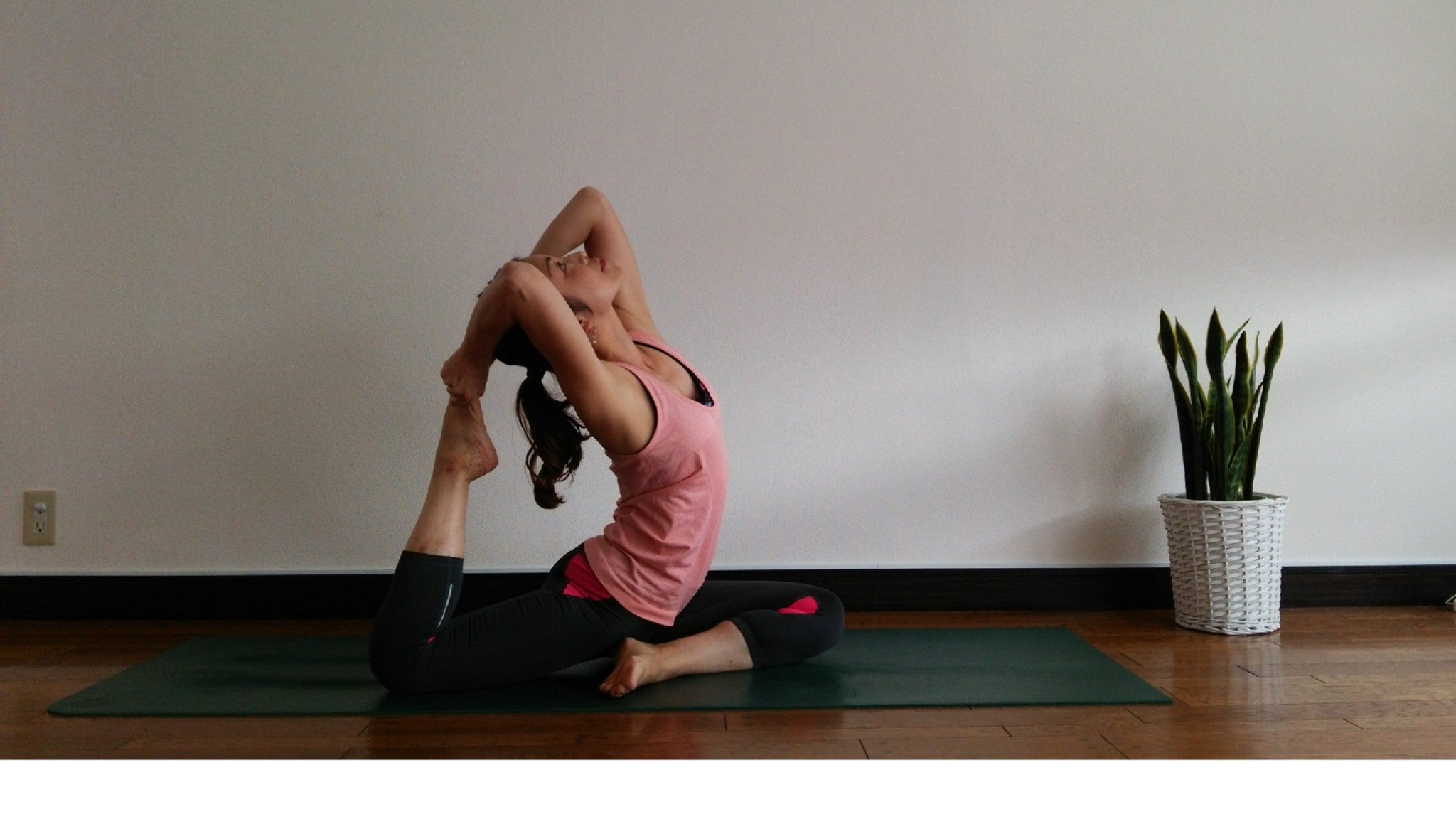 穏やかな気候ですね♪