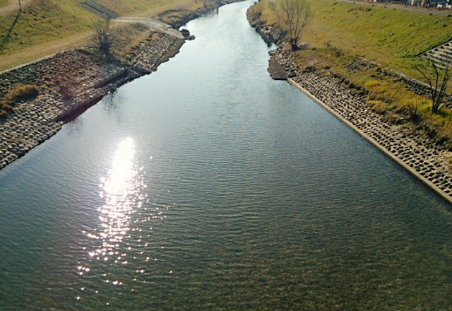 春を感じますね♪