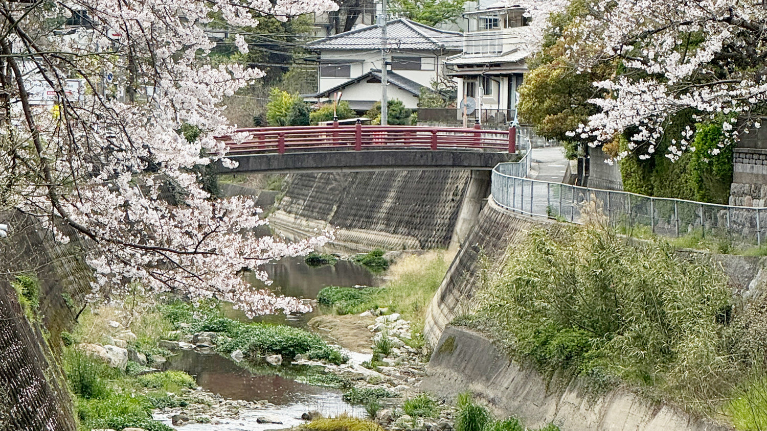 めぐりヨガ ヨガ指導者資格スクール