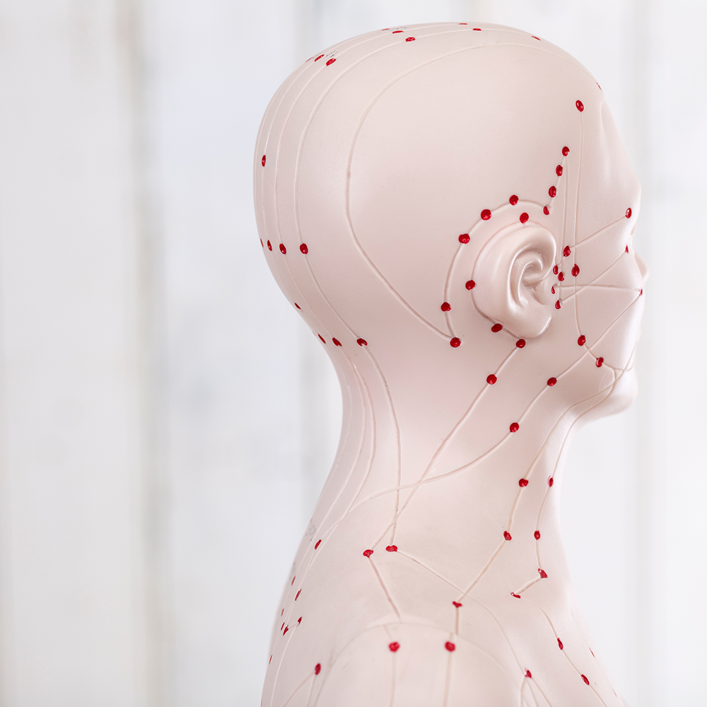 経絡ヨガ指導者養成講座(11/4, 11/11, 11/18)