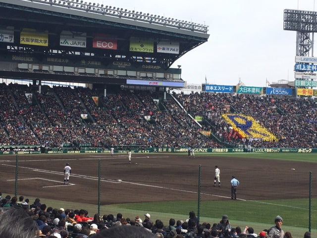 甲子園に行きました&#x2764;︎