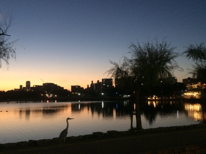 大濠公園
