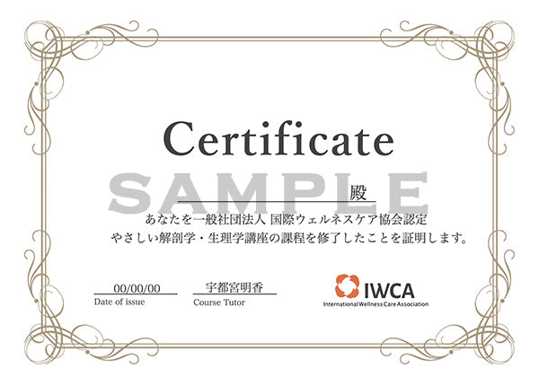 めぐりヨガ　ヨガ指導者資格スクール